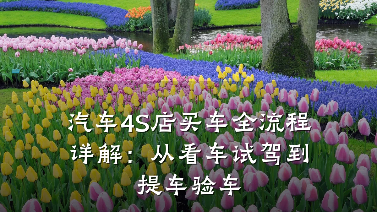 汽车4S店买车全流程详解:从看车试驾到提车验车