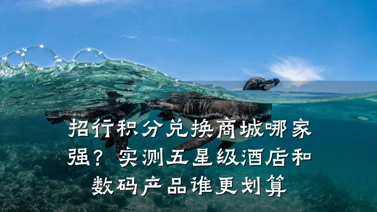 招行积分兑换商城哪家强？实测五星级酒店和数码产品谁更划算