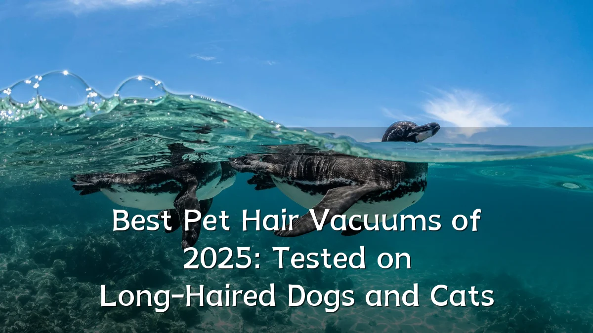 Best Pet Hair Vacuums of 2025: Tested on Long-Haired Dogs and Cats