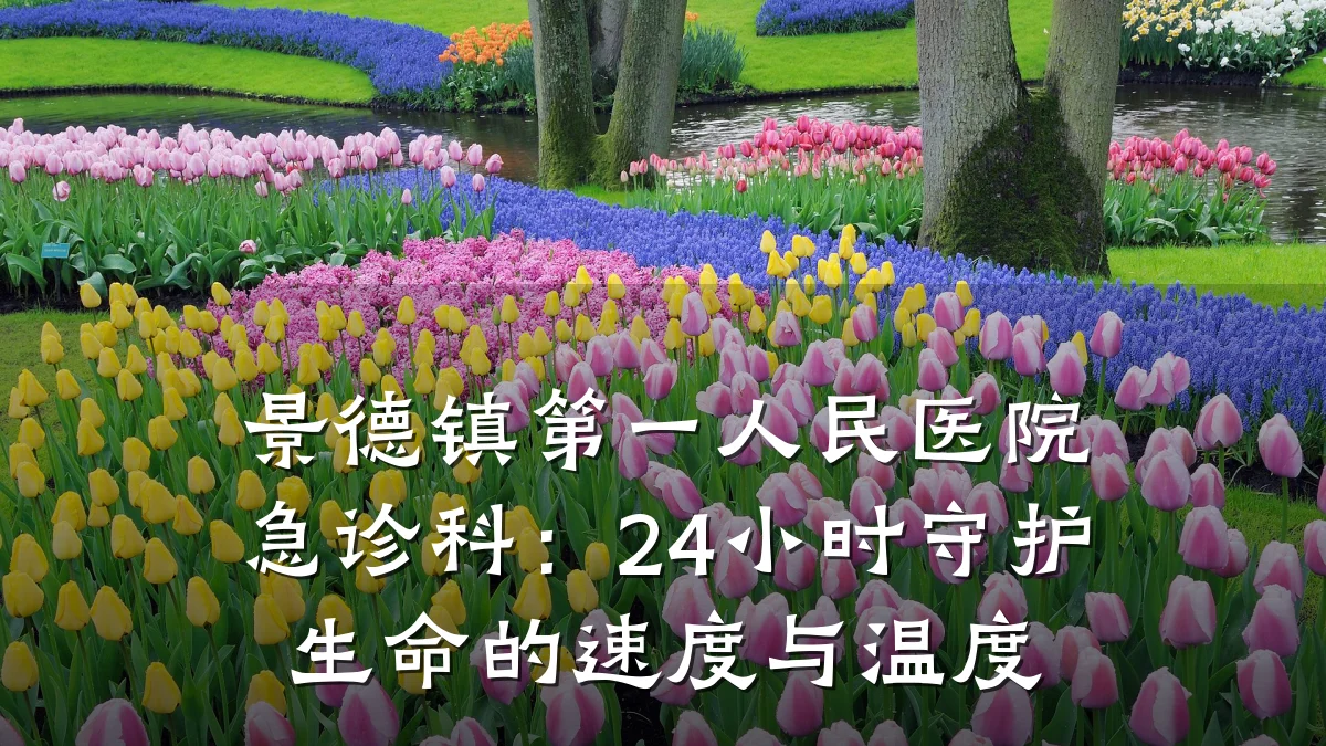 景德镇第一人民医院急诊科：24小时守护生命的速度与温度