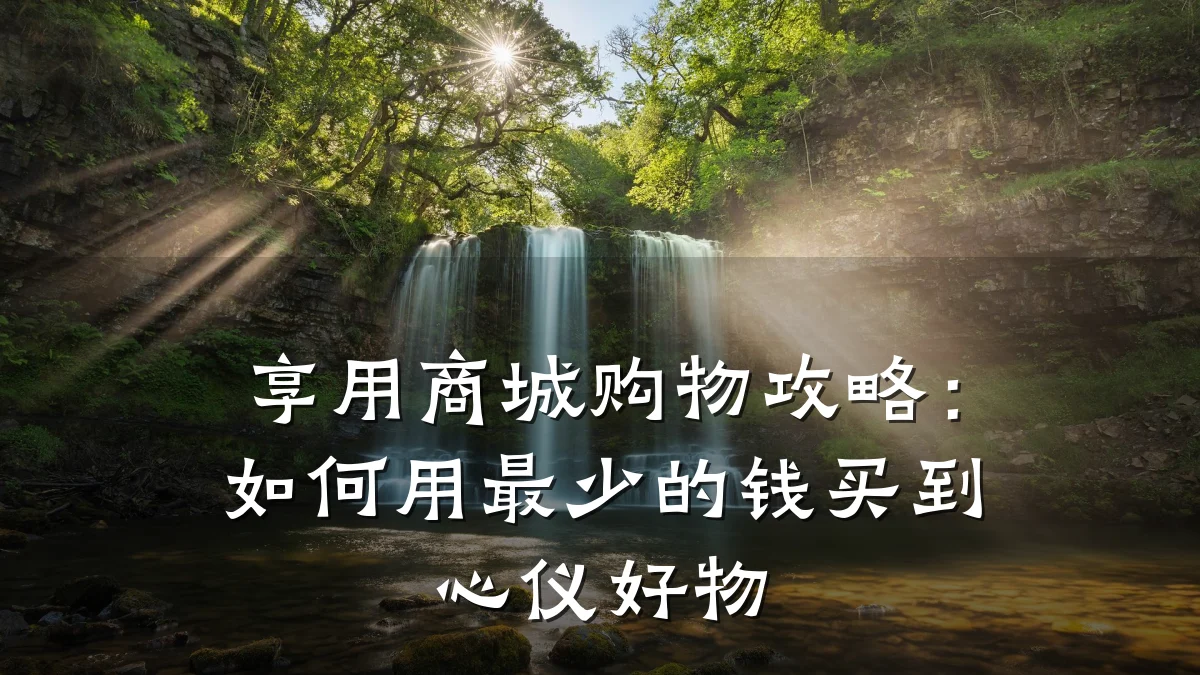 享用商城购物攻略:如何用最少的钱买到心仪好物