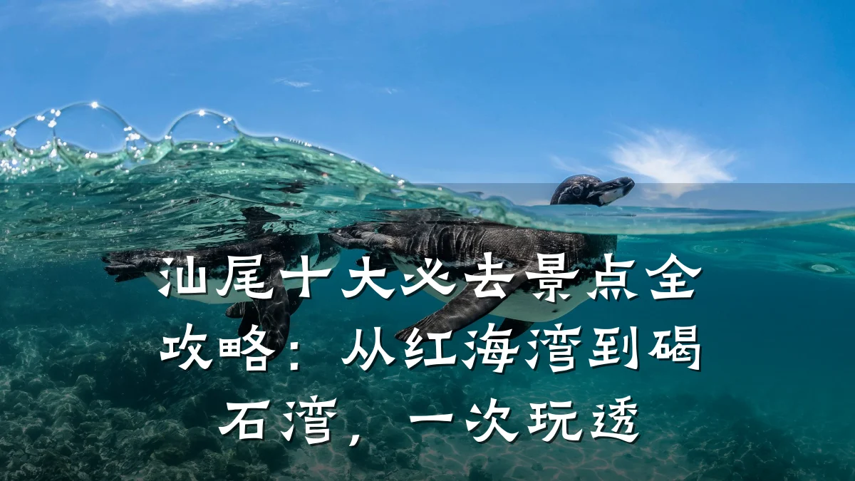 汕尾十大必去景点全攻略:从红海湾到碣石湾,一次玩透