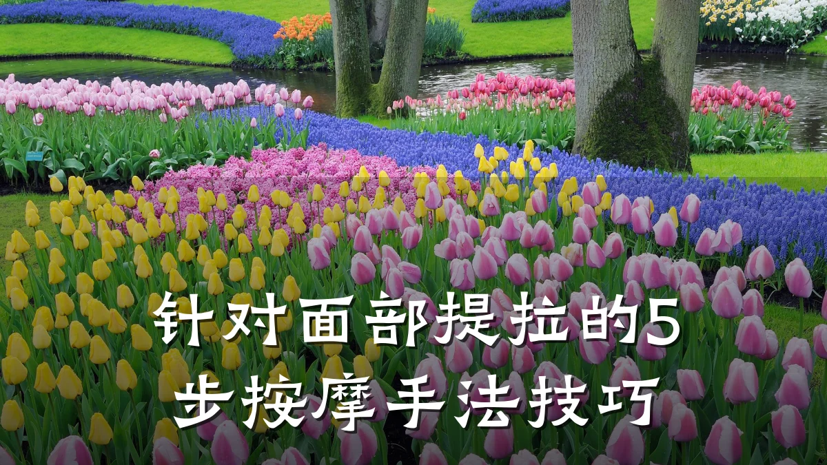 针对面部提拉的5步按摩手法技巧