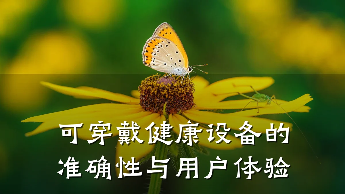 可穿戴健康设备的准确性与用户体验