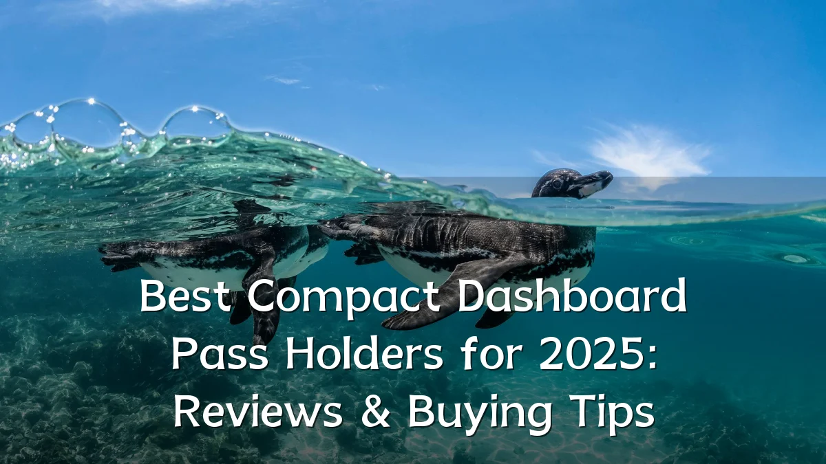 Best Compact Dashboard Pass Holders for 2025: Reviews & Buying Tips