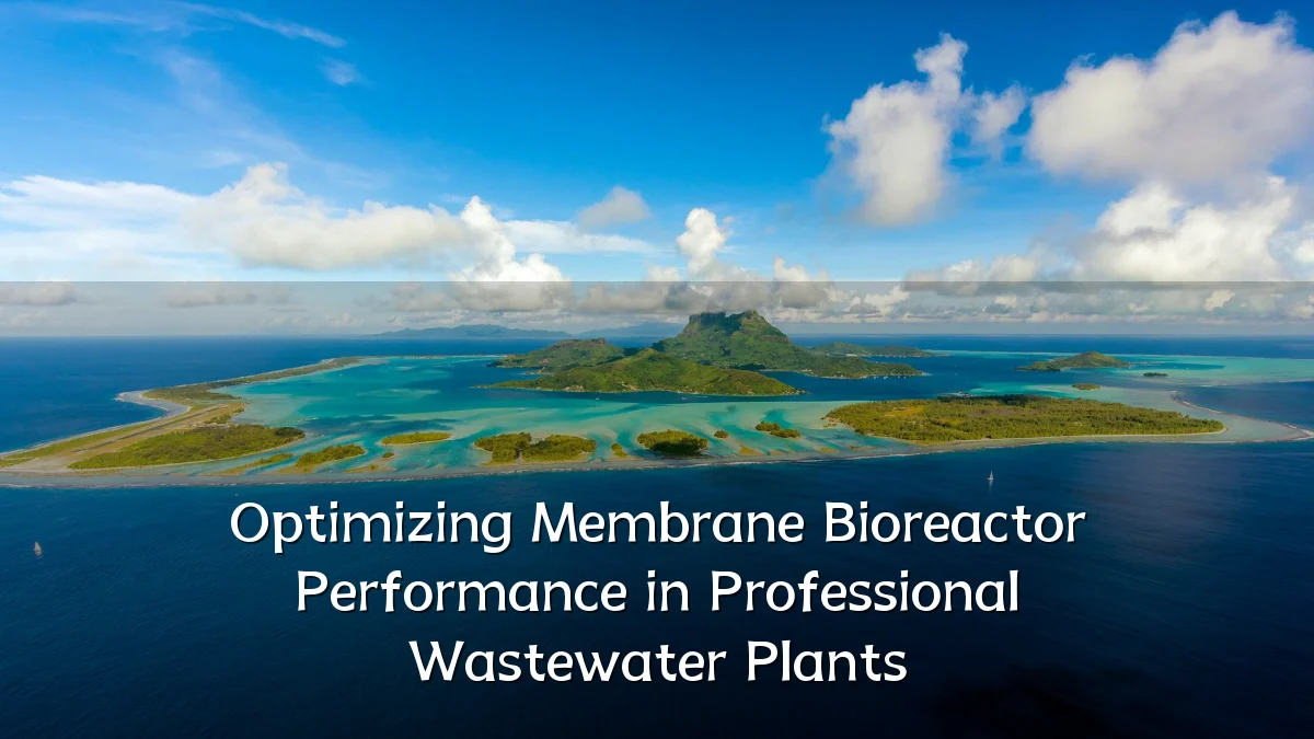 Optimizing Membrane Bioreactor Performance in Professional Wastewater Plants