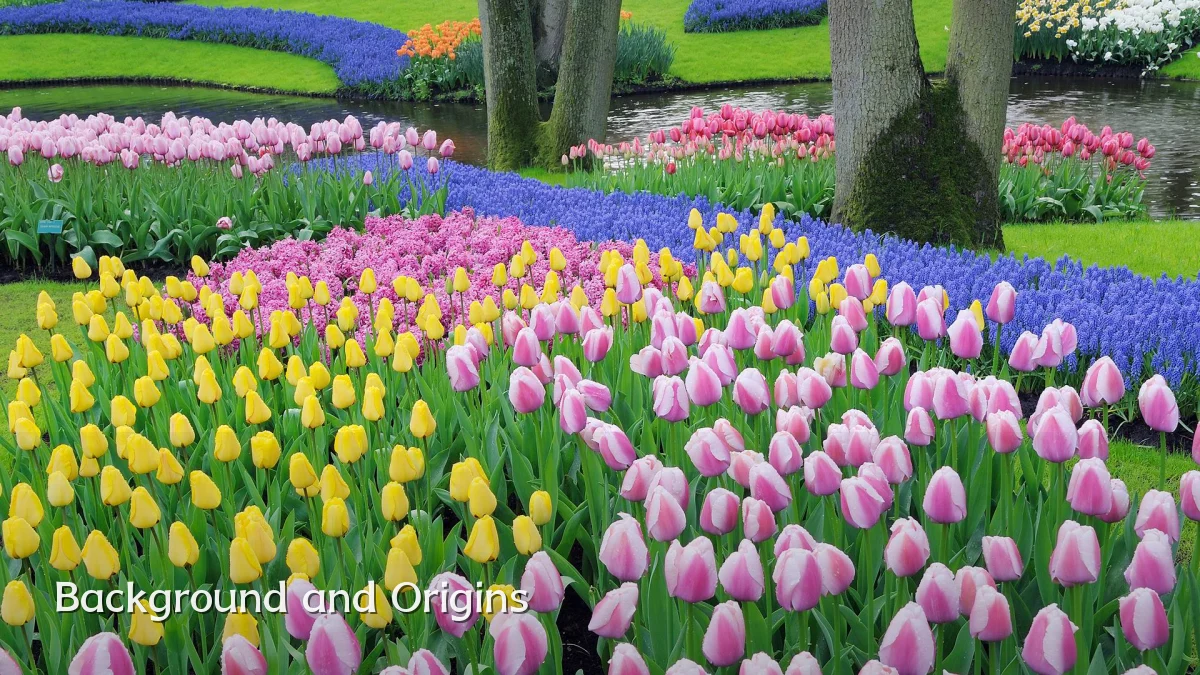 Background and Origins