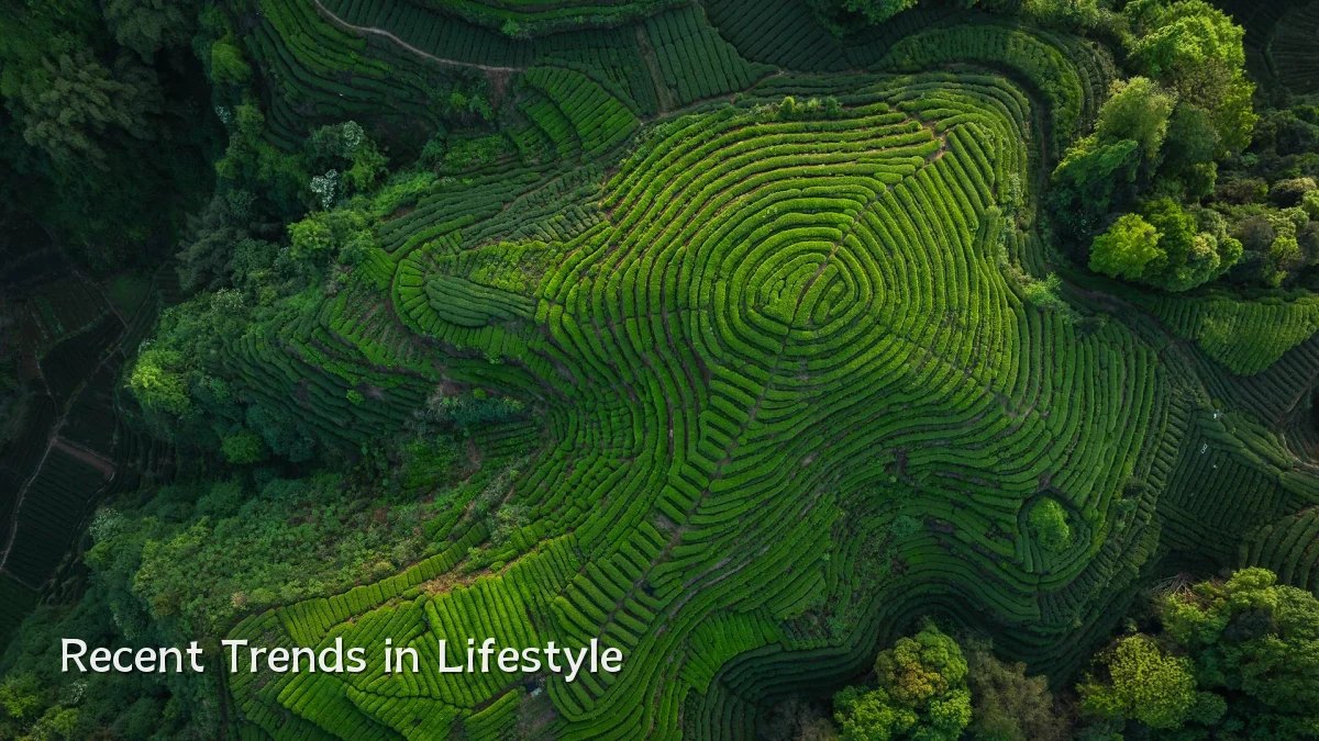 Recent Trends in Lifestyle
