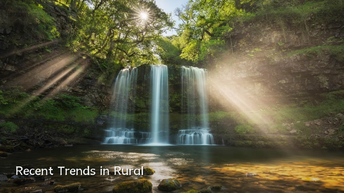 Recent Trends in Rural
