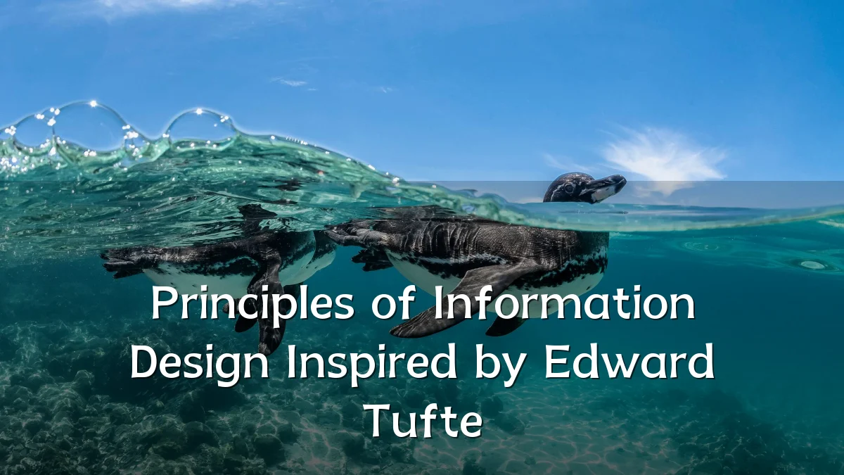 Principles of Information Design Inspired by Edward Tufte