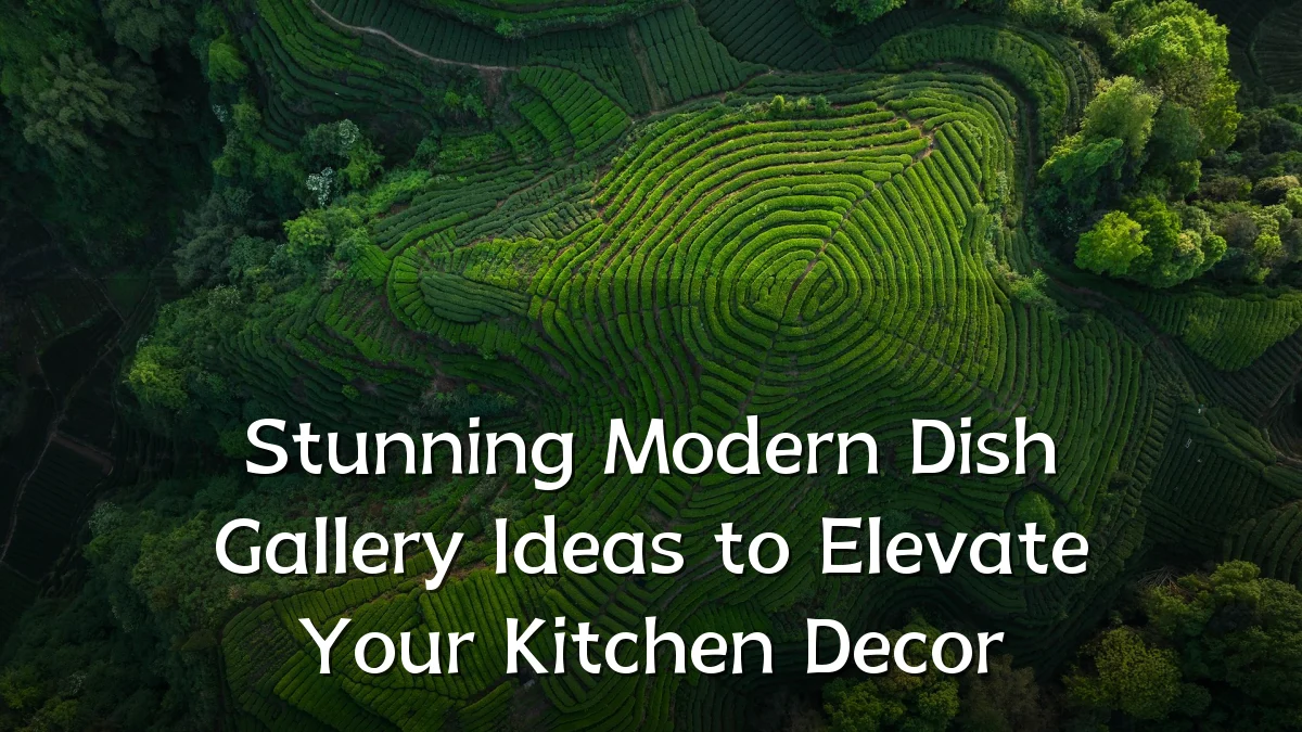 Stunning Modern Dish Gallery Ideas to Elevate Your Kitchen Decor