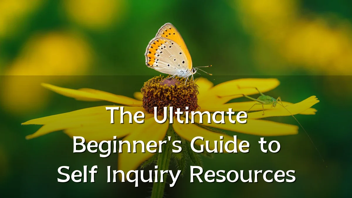 The Ultimate Beginner's Guide to Self Inquiry Resources