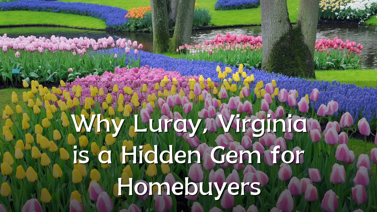 Why Luray, Virginia is a Hidden Gem for Homebuyers