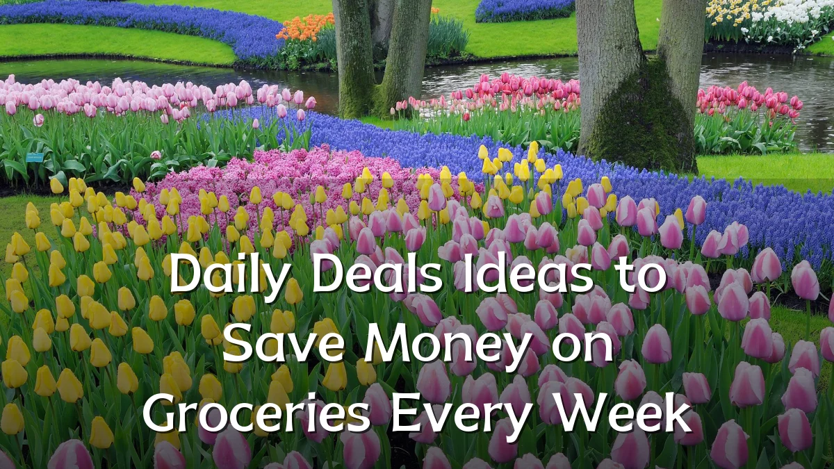 Daily Deals Ideas to Save Money on Groceries Every Week