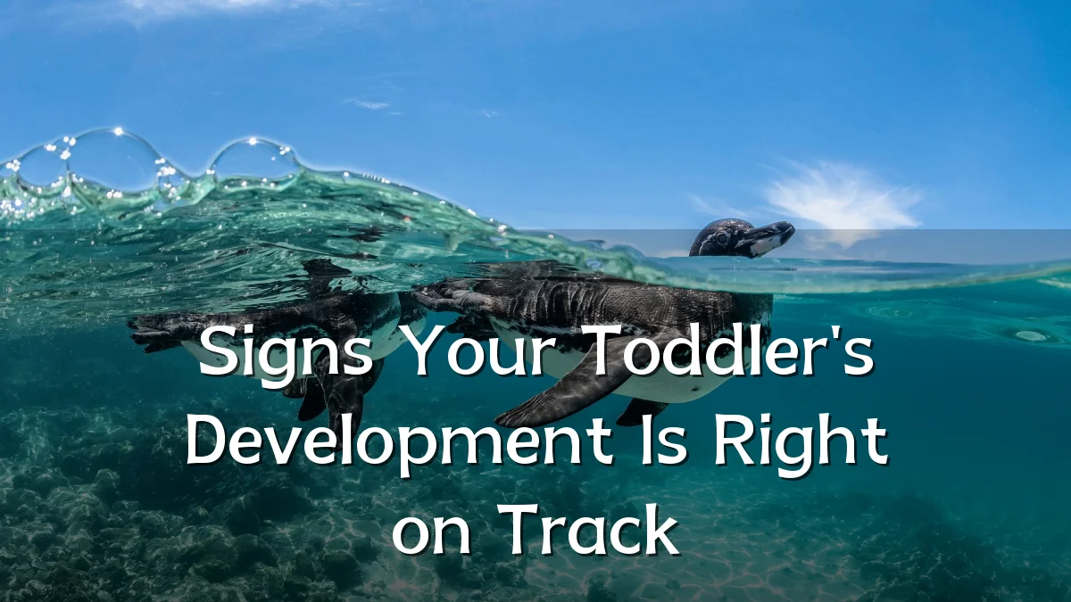 Signs Your Toddler's Development Is Right on Track