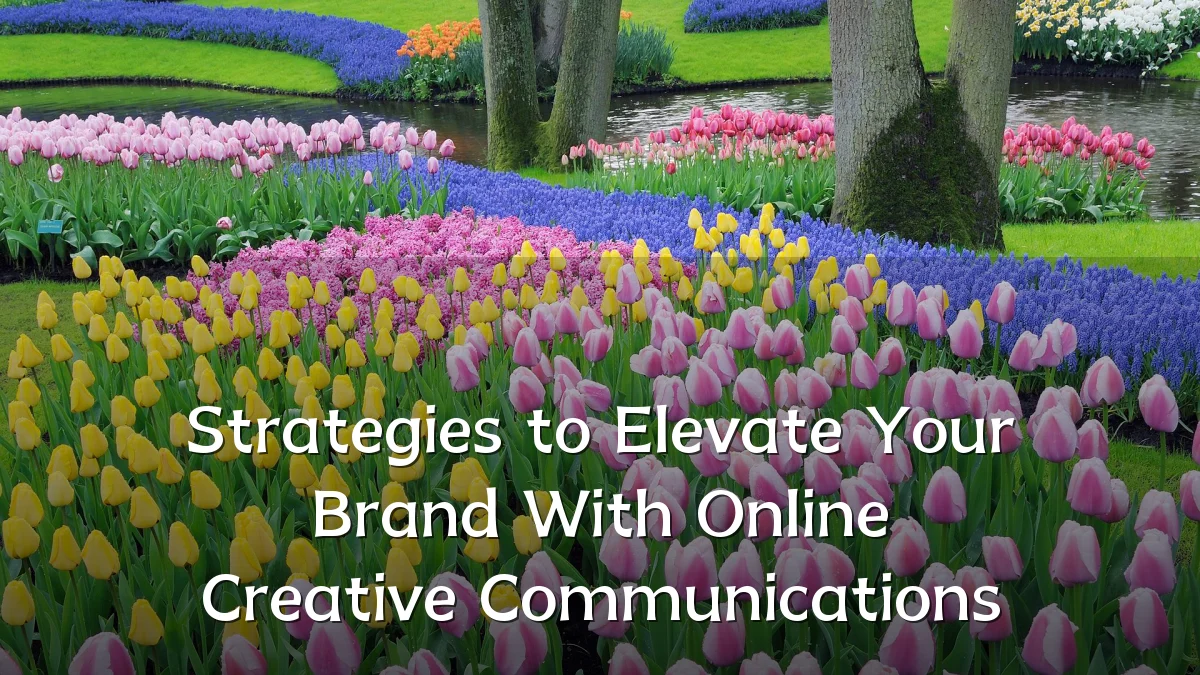 Strategies to Elevate Your Brand With Online Creative Communications