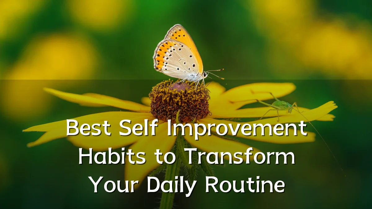 Best Self Improvement Habits to Transform Your Daily Routine