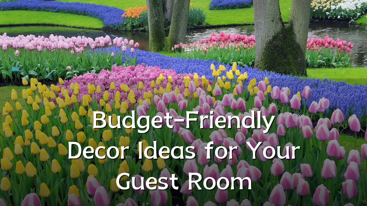 Budget-Friendly Decor Ideas for Your Guest Room