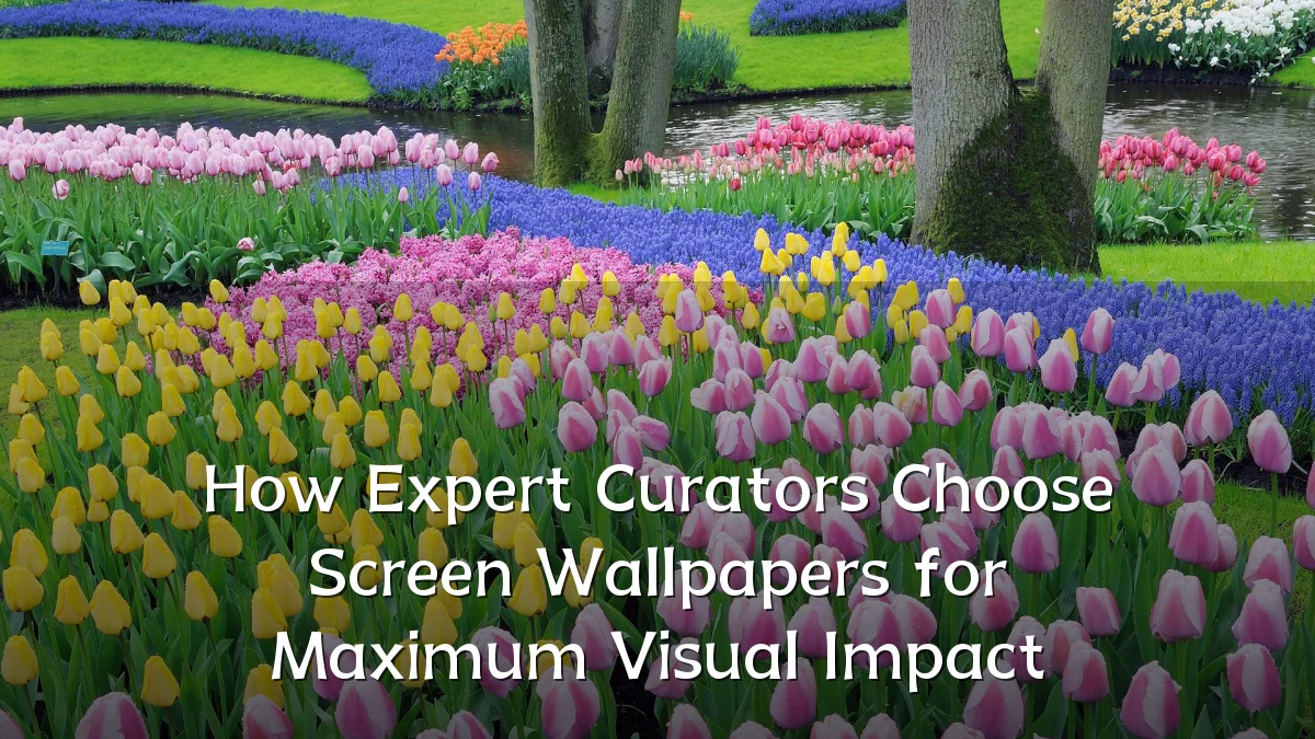 How Expert Curators Choose Screen Wallpapers for Maximum Visual Impact