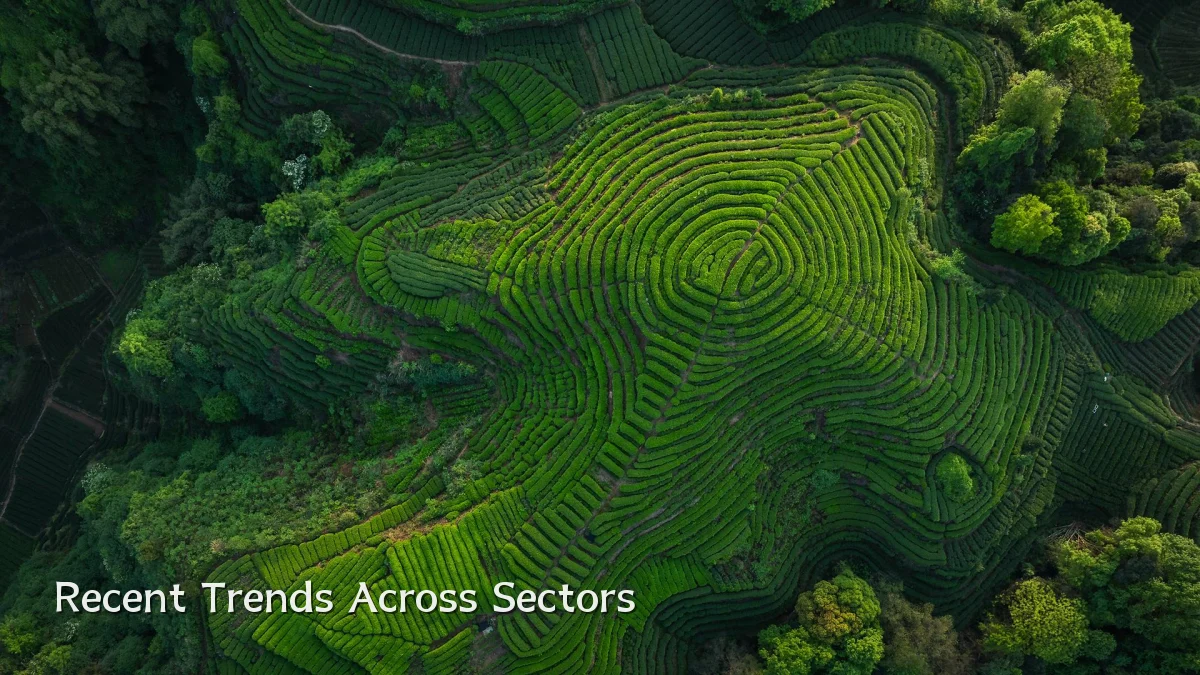 Recent Trends Across Sectors