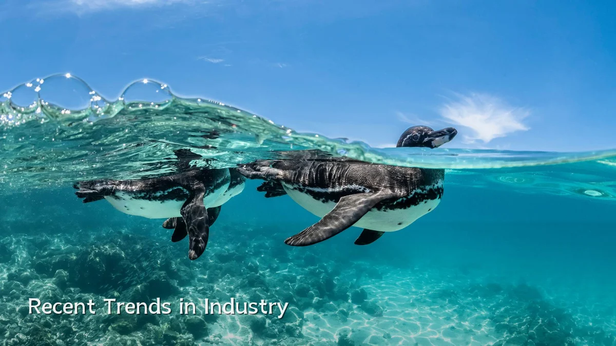 Recent Trends in Industry