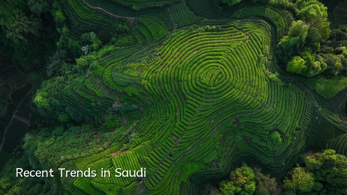 Recent Trends in Saudi