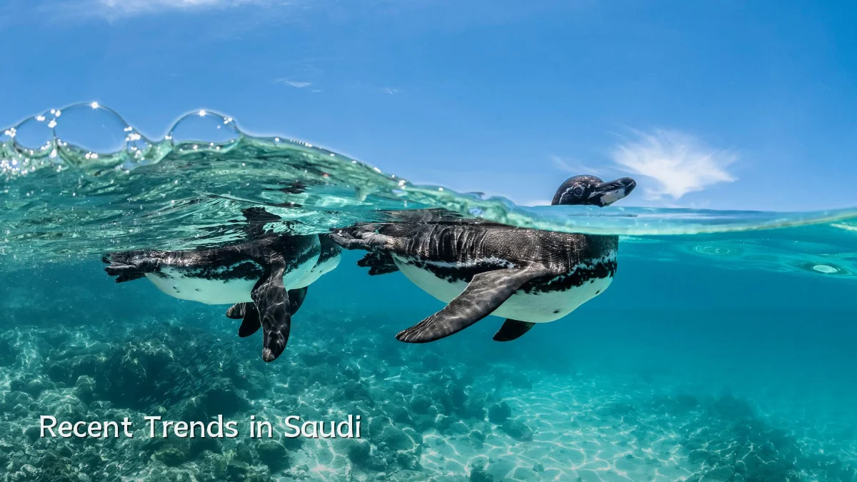 Recent Trends in Saudi
