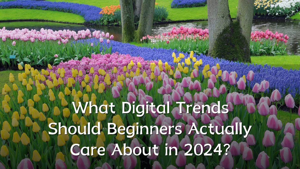 What Digital Trends Should Beginners Actually Care About in 2024?