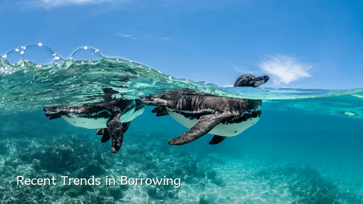 Recent Trends in Borrowing
