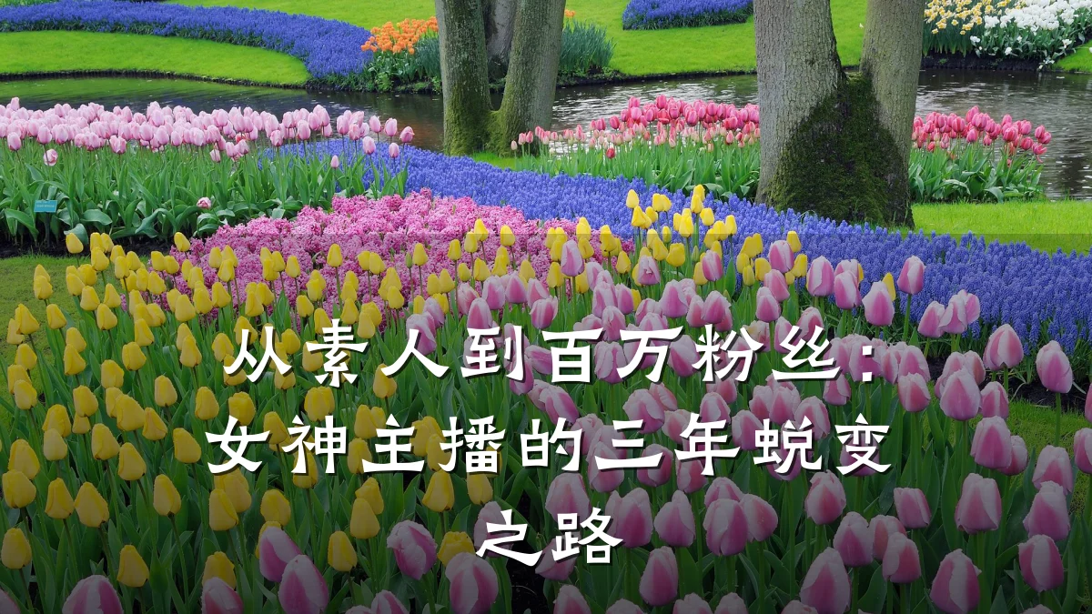 从素人到百万粉丝：女神主播的三年蜕变之路