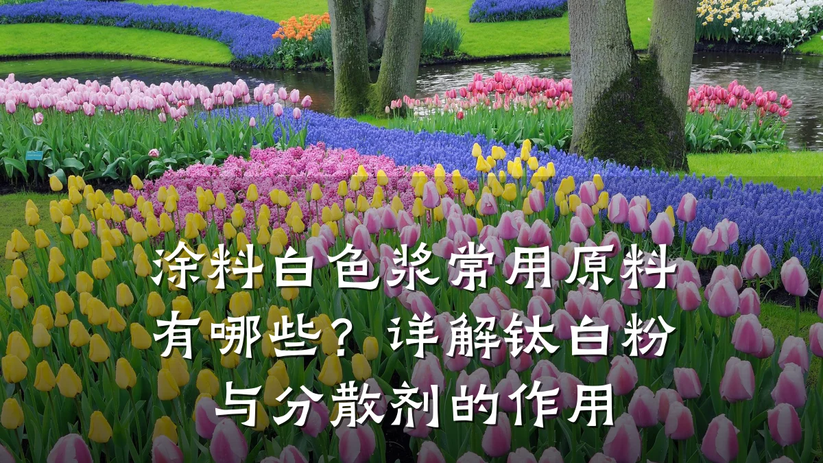 涂料白色浆常用原料有哪些?详解钛白粉与分散剂的作用
