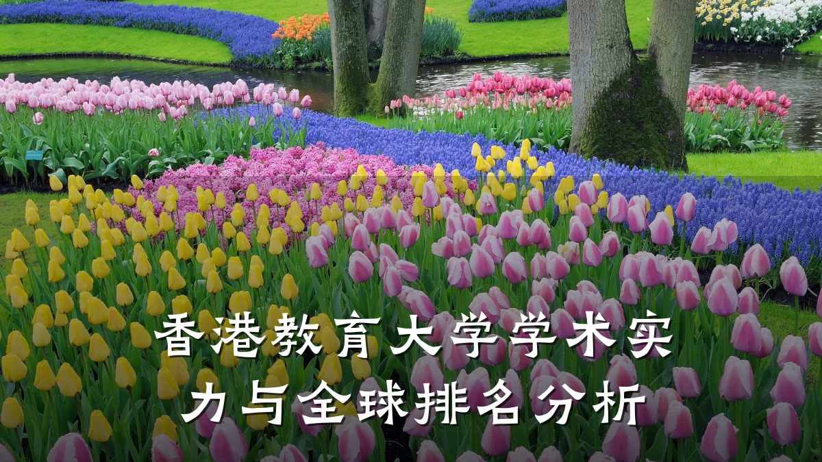 香港教育大学学术实力与全球排名分析