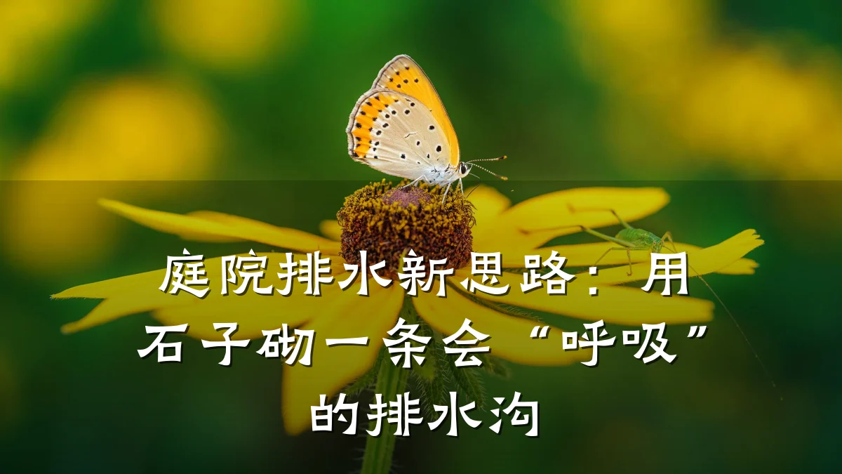 庭院排水新思路:用石子砌一条会“呼吸”的排水沟